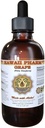 Rypäleöljyuute, viinirypäle (Vitis Vinifera) Seed Tincture Supplement 4 oz