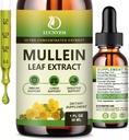2 pakkaus) 98% Imeytyminen Mullein Drops for Keuhkot, Tehokas 5 in 1 Mullein Leaf Herbal Blend Extract, Natural Keuhkot Support Supplement for Lungs Cleanse & Detox and hengityselin keuhkot Health