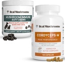 Real Mushrooms Cordyceps for Humans (120ct) & Mushroom Immuunilemmikki Chews (60ct) - Bundle for Energy, Vitality & Immuniteetti - Ashwagandha, Astragalus & more - Vegan, non-GMO, Gluten-free, Grain-free