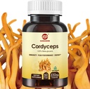 Cordyceps kapselit, Mushroom Extract täydennysosa jauhe 31% Beta Glucan suorituskyvyn, energian ja immuunijärjestelmän tukea, 700 mg, 60 Count, Organic ja Vegan