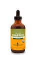 Herb Pharm Bugleweed Liquid Extract for Umpieritysjärjestelmän tukea - 4 Ounce