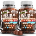 15in1 Lion's Mane Turkey Tail Cordyceps Reishi Chaga Sweet Toot Maitake Meshima Poria Cocos Shiitake Tremella, Oyster Agaricus Sienet miesten ja naisten täydentää - 2Pack