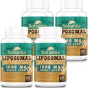 Spermidiinin lisäaine 15 MG - 99% Puhtaus, korkea imeytyminen, 1500 MG fermentoitua vehnää Germ-uute, sinkki & tiamin, spermidiini miehille ja naisille - soluuudistaminen, ikääntyminen, energia, 240 Softgelia