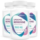 Berberiini HCL täydentää 1500mg - korkea hyötyosuus Liposomaalinen berberiini kapselit naisille ja miehille, AMPK aktivaattori sydän- ja verisuoniterveys, sokeriton, ei-GMO 180 Softgels