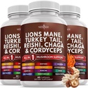 NEW AGE Lions Mane Sientä täydentää Turkin häntä Reishi Cordyceps Chaga vaahtokarkki juuri 180 kreivi