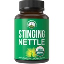 USDA Organic Stinging Nettle Vegan Capsules Made with Stinging Nettle Leaf Powder for Prostate, hiusten kasvu, Allergia. Parempi kuin juuri tai siemenuute. Kasvipohjaiset Herb-lisät, 60 pilleriä