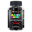 AAKKOSELLINEN LION Gains Candy, täydentää pillereitä lihaspumpun ja veren virtausta, typpioksidi Booster, tukee henkinen keskittyä, käyttää päivittäin päivittää harjoittelu suorituskykyä, 63 kapselia (Nitrosigine)