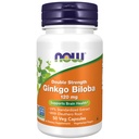 NYT elintarvikkeiden lisäravinteet, Ginkgo Biloba 120 mg, Double Strength, non-GMO Project todennettu, 50 Veg kapselit