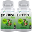 DOCTOR SUOSITETUT LIITTEET Berberine Plus 1200mg per Serving - 120 kasviskapselit Royal Jelly (120 laatikko 2)