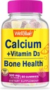 WellYeah Kalsium 500 mg + D3-vitamiini 1000 IU (25 mikrog) Gummies - Bone Health and Muscle Supprt, Immuunituki Gummy, Non GMO, Gluteeniton, Mix Fruit Flavors - 60 Gummies