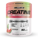 Cellucor Creatine Powder, Watermelon Flavor - lisää voimaa, lean lihasmassaa ja kestävyyttä, Micronized Creatine Fast Absorption, 5g Creatine per Serving, 50 tarjoilua