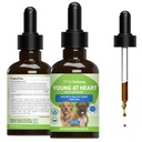 Lemmikkieläinten hyvinvointi Young at Heart for Dogs - Heart Health, Circulatory & Cardiovascular System, Hawthorn, Motherwort, Schisandra - Eläinlääkäri-Formulated Herbal Supplement 2 fl oz (59 ml)