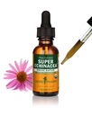 Herb Pharm Certified Organic Super Echinacea Liquid Extract aktiivisen immuunijärjestelmän tukea - 1 Ounce (DSUPER01)