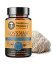 Sienten hyvinvointi Leijona Mane Blend with Reishi: Organic Lion's Mane & Reishi Mushroom Capsules, Sienten Powder Supplement, Tukee kognitiivista terveyttä, muistia ja Mental Focus, 90 Vegaanikapselit