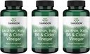 Swanson Lecitin Kelp B-6 & siideri Viinietikka 240 Tabs (3 pakkaus)