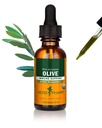 Herb Pharm Certified Organic Olive Leaf Liquid Extract Immuno System Support - 1 Ounce