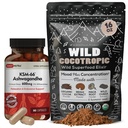 DailyNutra KSM 66 Ashwagandha (90 kapselia) ja Mushroom Cacao Mix (16oz) Bundle rentoutumista ja keskittymistä varten