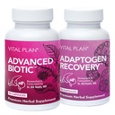 Vital Plan Immunosupport Supplements by Dr. Bill Rawls 