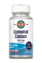 KAL Liposomal Calcium 500 mg, korkea imeytyvä kalsiumlisä, välttämätön kalsiumtuki, vegaaninen, gluteeniton, ei soijaa, 30 tarjoilua, 90 VegCaps