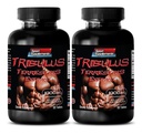 pillereitä miesten seksi pitkä ja vahva - TRIBULUS TERRESTRIS EXTRACT 1000MG - MUSCLE LUJUUS, mies hedelmällisyys tehoste, mies libido pillereitä, mies sukupuoli pillereitä, mies lisälaite, kestävyys tehoste, 2B 120 tablettia