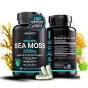 Certified Organic Sea Moss Capsules 2250mg Wildcrafted Irish Sea Moss Burdock Root rakkoranneke täydentää Raw Seamoss pillereitä & Powder (Pack of 1 at 180-Caps)