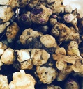 Organic Jerusalem Artisokka Tubers (Helianthus tuberosus) - Sunchokes, Sunroot tai Jerusalem Artisokat istutus tai syöminen - 5 Tubers by Smoke Camp Crafts