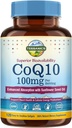 Terranics CoQ10 100mg, 120 Softgels, imeytyminen ekstraneitsytoliiviöljyllä, Heart Health & Energy Production