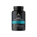 Ancient Nutrition Probiotics for Immuunisupport, SBO kerran päivässä Probiootit kanssa C-vitamiinia ja D-vitamiinia, 30Ct terveen digestion ja immuunijärjestelmän toimintaa tukea, 25 miljardia PMY *