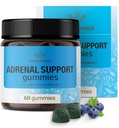 HERBAMAMA-lisäravinteet - Puhdas lisäkomplex täydentää naisille Ashwagandha Root, Rhodiola Rosea & Magnesium - Vegan, ei-GMO - 60 Pektiini-Based mustikka-Flavored Chews