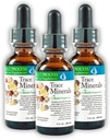 Morter Trace Minerals in Colloid Suspensio (3 pakkaus) Morter HealthSystem Best Process Alkali ...