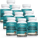 2400 MG Liposomal Glutatione Softgels, Max Imeytyminen, Active Form L-Glutatione Alennettu (GSH), Hyaluronic Acid, Resveratrol, Master Antioxidants for Detox, Brain, Immuno System, 600 Softgels
