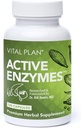 Vital Plan Active Enzymes Supplement by Dr. Bill Rawls - Dgestive Enzymes for Gut Health & Digestion - Proteaasi, bromasiini, laktaasi, amylaasi & Lipase (120 kapselia)