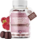 Mushroom Gummies Premium Supplement [10 sieni Complex Extract] Herkullinen ja nopea näyttelevä leijona. Mane, Reishi, Shiitake Nootropic Brain Support, Immuunituki, mieliala & rentoutuminen, 60 purukumia