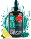 Nestemäinen klorofylli Drops kanssa Spirulina vettä - Full Strength Energy, Wellness, Immuuni tuki täydentää - 50 mg klorofylli Liquid, 12.5mg Spirulina - Sitruuna Flavor Detox Drink - 2oz, 118 Tarjoilut