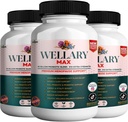Wellary Max Menopause Support Supplement, 40 miljardia PMY Probiootti Blend, 90 kapselia (3)
