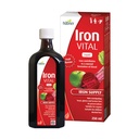 Hübner Iron Vital Liquid Iron Supply Plus C-vitamiini, ravintolisä aikuisille ja lapsille, Vegaani ja gluteeniton, Fruit Flavor, 250 ml pullo, 25 tarjoilua