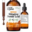 Wild & Organic Stinging Nettle Leaf Extract Drops - virtsanjohdin tuki - Liquid Stinging Nettle Supplement - Urtica Dioica Tincture - 2-kuukautinen tarjonta - Vegaani, sokeri & alkoholiton - 2 fl oz
