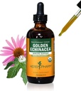 Herb Pharm Certified Organic Golden Echinacea Liquid Extract immuunijärjestelmän tukea - 4 Ounce