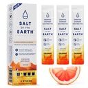 Earth Premium Nolla-sokerinen Electrolyte - valmistettu vaaleanpunaisella Himalajan suolalla - Hydraation Powder Packets 
