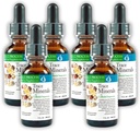 Morter Trace Minerals in Collodial Suspension (6 Pack) Morter HealthSystem Best Process Alkali ...