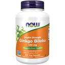 NYT elintarvikkeiden lisäravinteet, Ginkgo Biloba 120 mg, Double Strength, non-GMO-projekti todennettu, 100 Veg-kapselia
