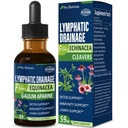 Cleavers Lymphatic Drainage Drops for Lymph System Detox Cleanse, Lymfedeema (Lymfaödeema) Tuki täydentää Formula w/Echinacea, Cat