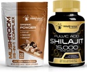 WELLNESS LABSRX Sienijauhe 2000mg - Shilajit Pure Himalajan 15 000mg kapselit