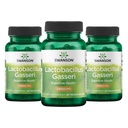 Swanson Lactobacillus Gasseri Probiootti aikuisille etsii Ruoansulatus- ja aineenvaihduntatukea 3 miljardia PMY - Acid-Resistant, Ei jääkaappi (60 vegan kapselia, 3 pakkaus)