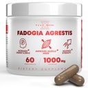 Fadogia Agrestis 1000mg Per Serving täydennysosa - Potent ote lisätä energiaa, urheilullinen suorituskyky & lihasmassa - lisäravinteet, valmistettu Yhdysvalloissa (60 kapselia)