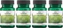 Swanson Oregano Oil 10:1 uute - Natural Supplement Promoting Ruoansulatuselimistön ja hengitysteiden tuki - tukee ruoansulatuskanavan ja virtsateiden terveys - (120 Softgels, 150 mg Each) (4 pakkaus)