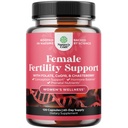 Hedelmällisyys täydentää naisille prenataali monivitamiinit - naisten hedelmällisyys tuki prenataali koliini inositoli Folaatti Chasteberry ja CoQ10 hedelmällisyys Blend naisten edistää nopeampi käsite