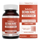 Soactive berberine 550mg: 9.6X Suurempi imeytyminen, kliinisesti tutkittu, optimoitu Phytosome 