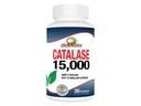 Rise-N-Shine Catalase täydentää 15,000 - Tehokas antioksidantti Enzyme hiusten terveyden tuki- hiusten täydentää vahva hiusten tuki - 30 kapselia