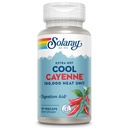 SOLARAY Extra Hot Cool Cayenne 100 000 HU - Perinteinen kansan hyväksikäyttö- ja digestioapu - Bio-Cool Process - Lab todennettu, GMP Facility, 60 päivän takuu - 45 Servings, 90 VegCaps